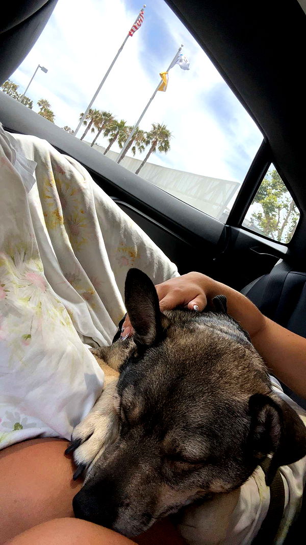 kaylamanouss17 image ~ Altpins