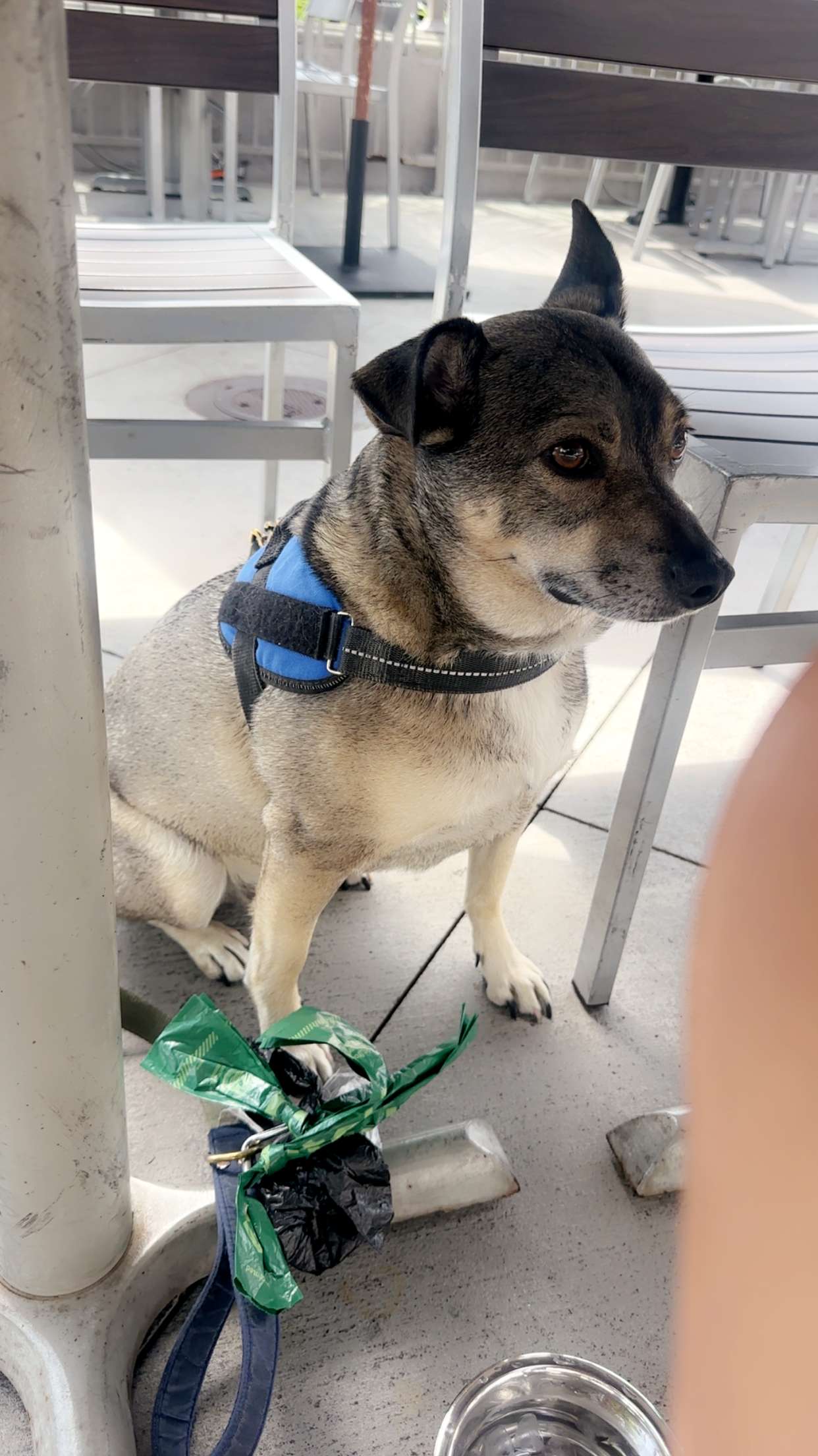 kaylamanouss17 snapchat image archive image