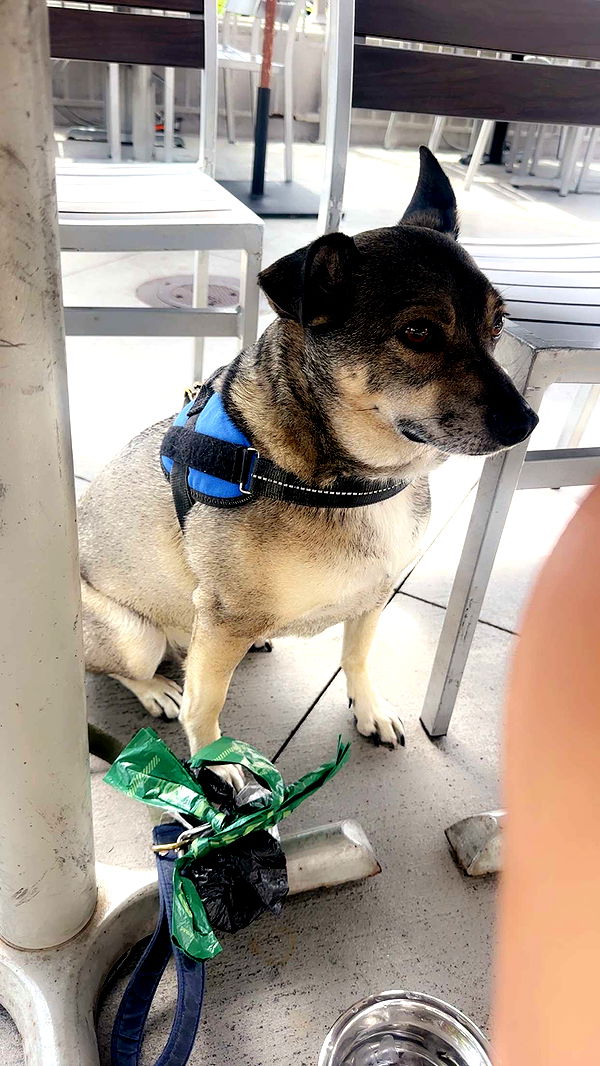 kaylamanouss17 image ~ Altpins