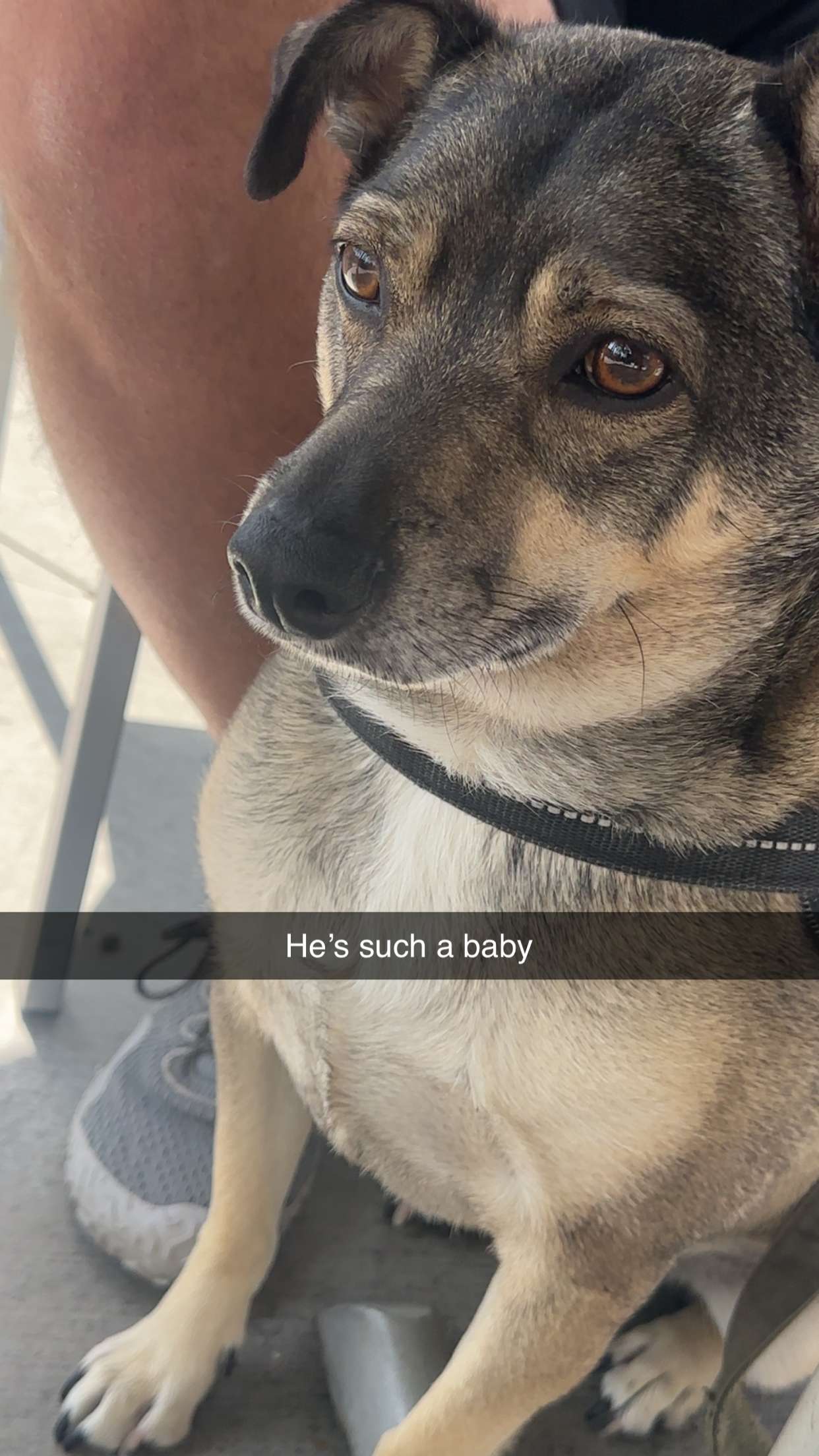 kaylamanouss17 snapchat image archive image