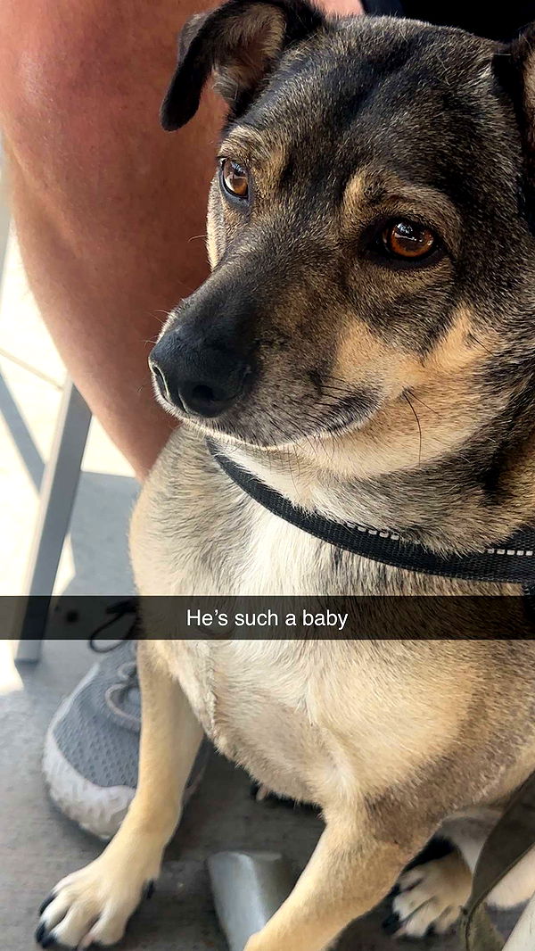 kaylamanouss17 image ~ Altpins