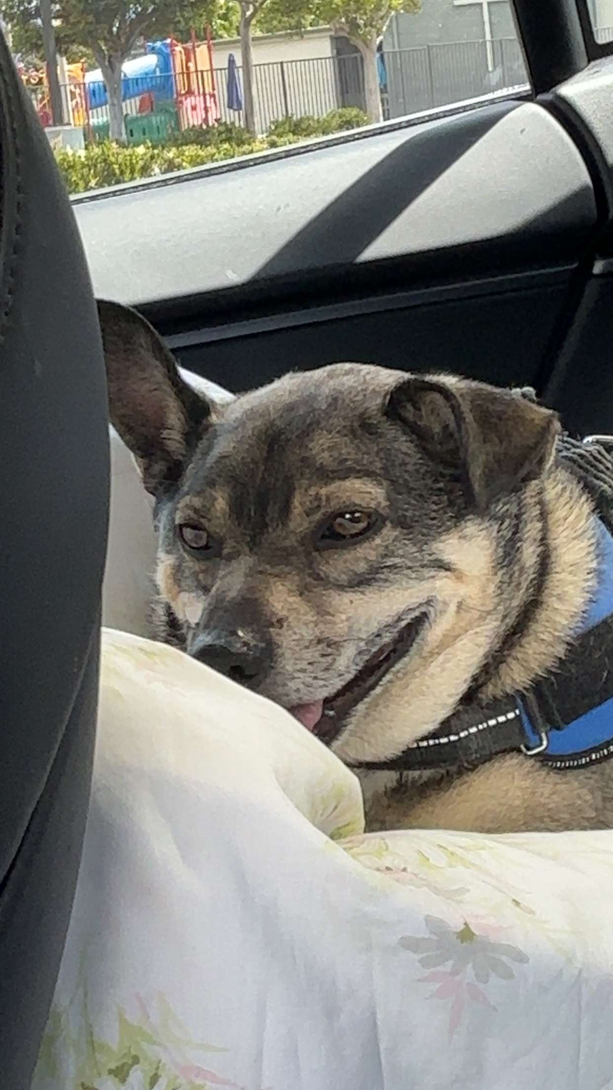 kaylamanouss17 snapchat image archive image