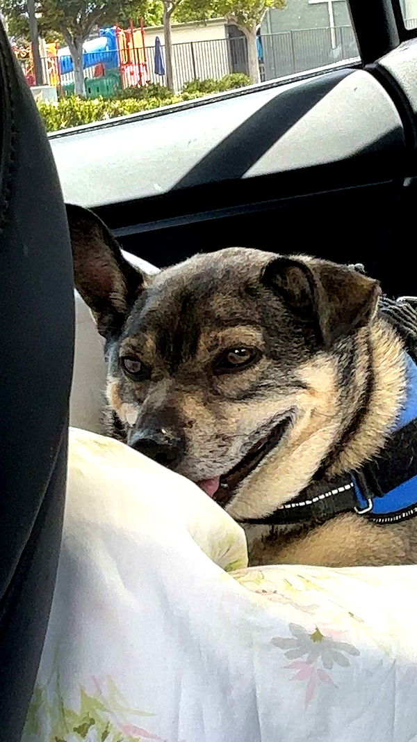 kaylamanouss17 image ~ Altpins