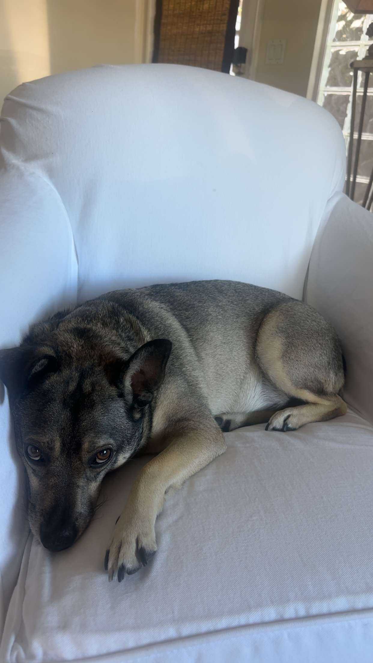 kaylamanouss17 snapchat image archive image