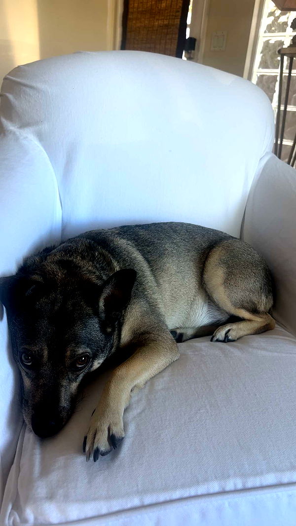 kaylamanouss17 image ~ Altpins