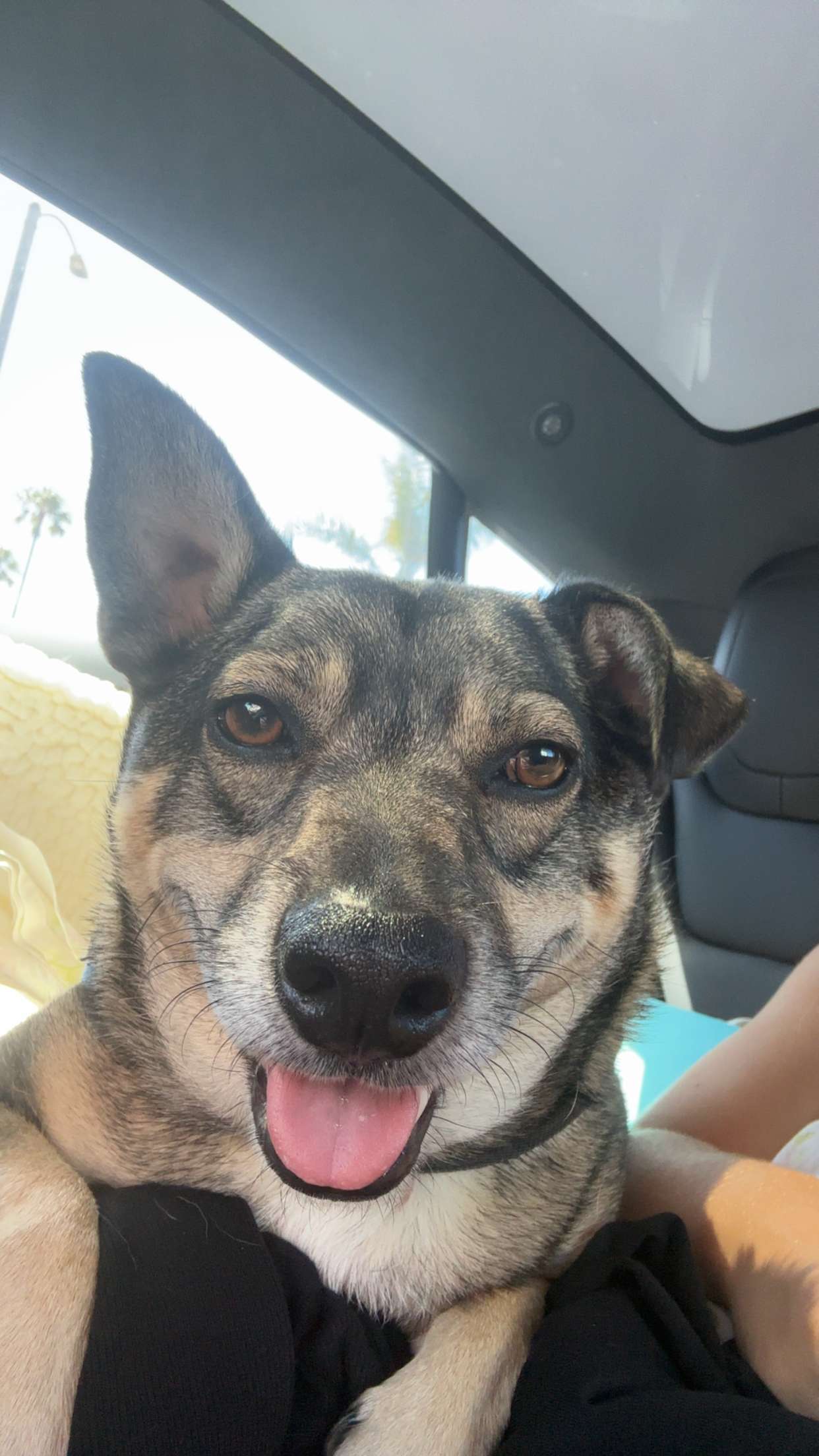 kaylamanouss17 snapchat image archive image