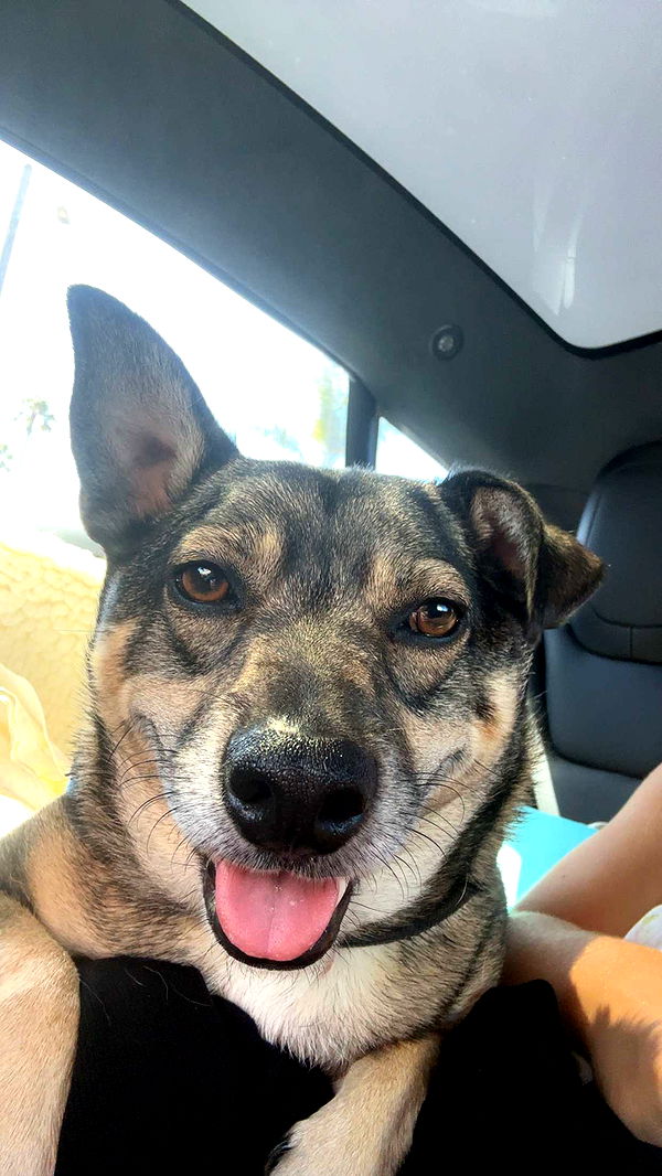 kaylamanouss17 image ~ Altpins