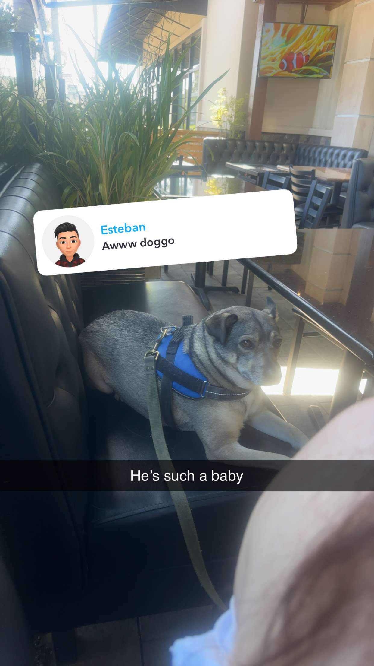 kaylamanouss17 snapchat image archive image