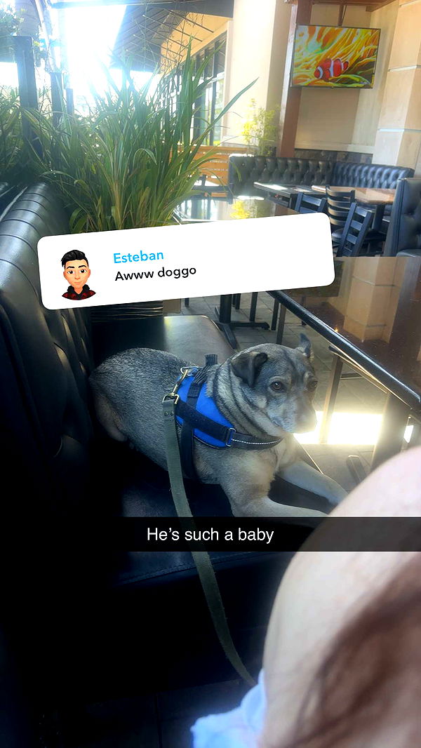 kaylamanouss17 image ~ Altpins