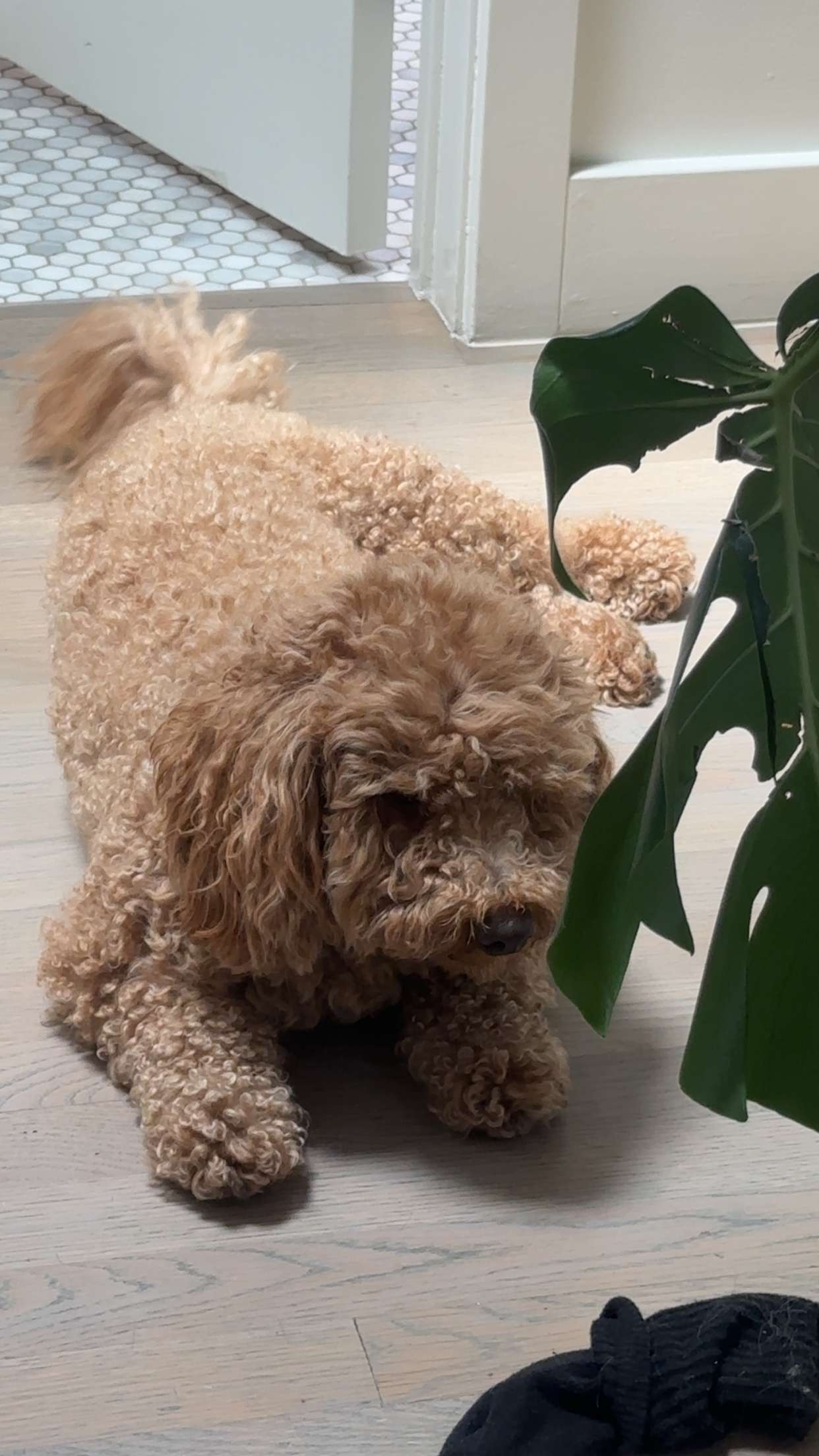 kaylamanouss17 snapchat image archive image