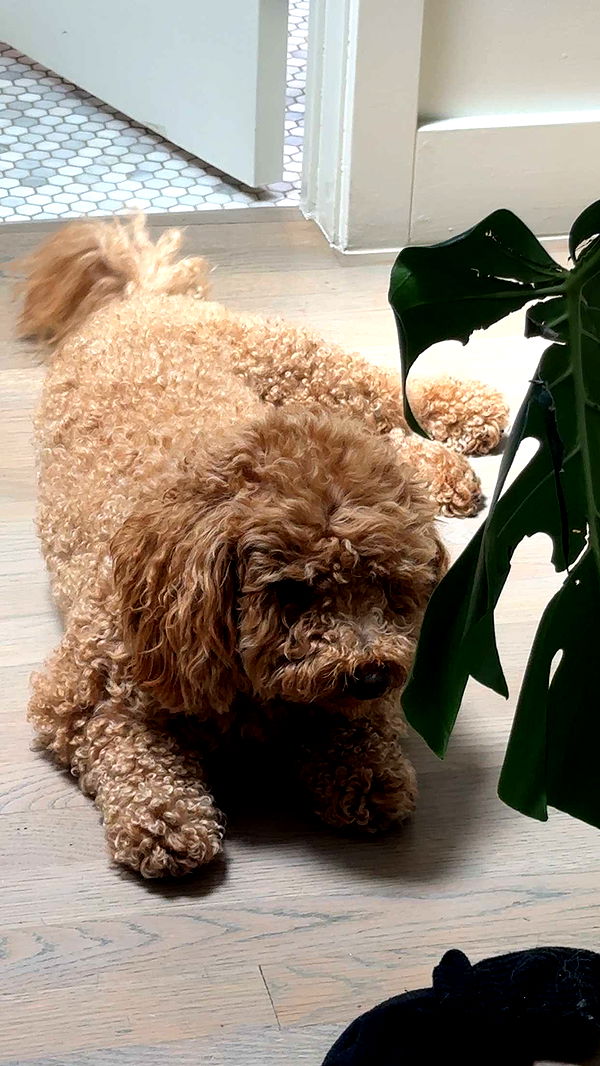 kaylamanouss17 image ~ Altpins