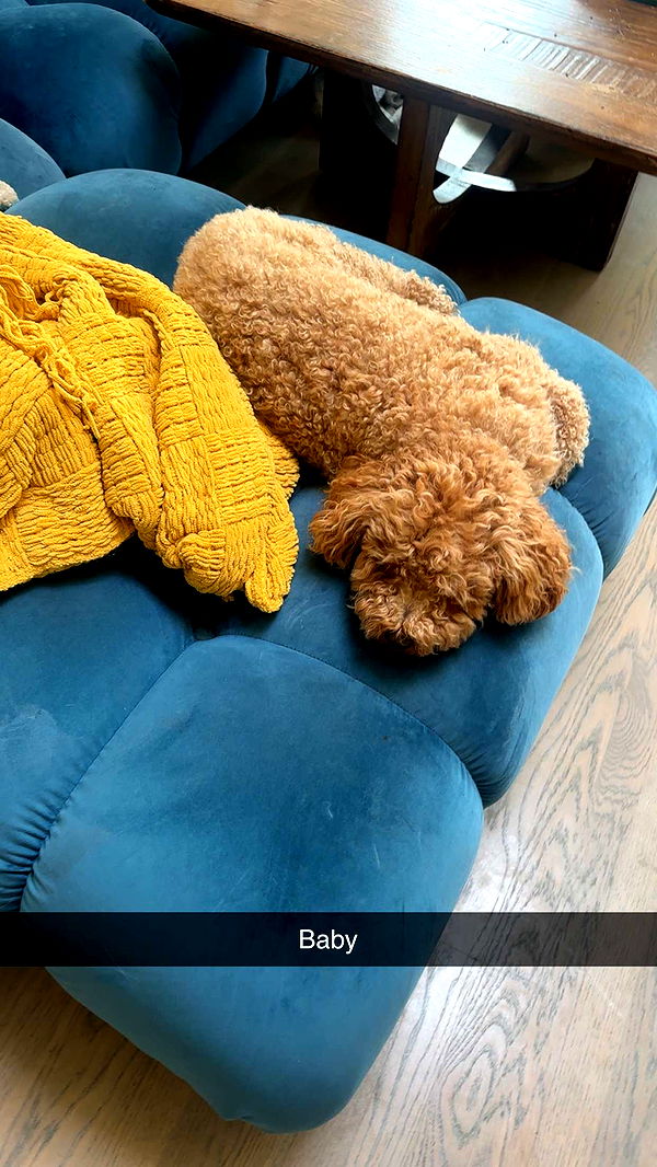 kaylamanouss17 image ~ Altpins