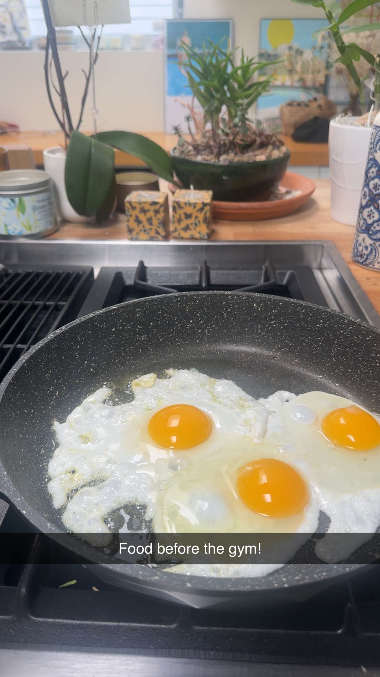 kaylamanouss17 snapchat image archive image