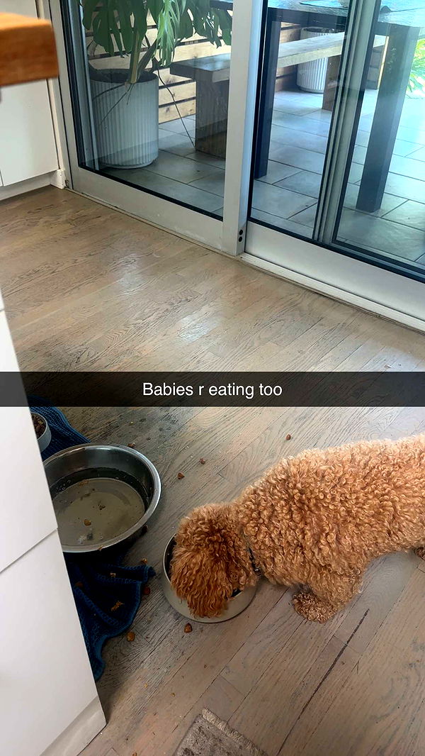 kaylamanouss17 image ~ Altpins