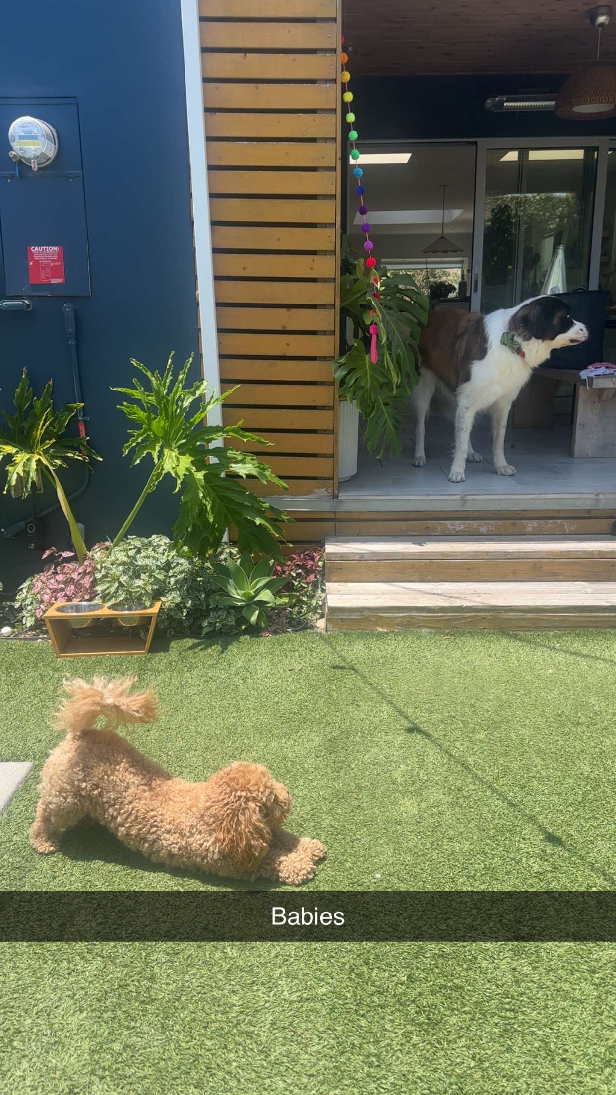 kaylamanouss17 snapchat image archive image