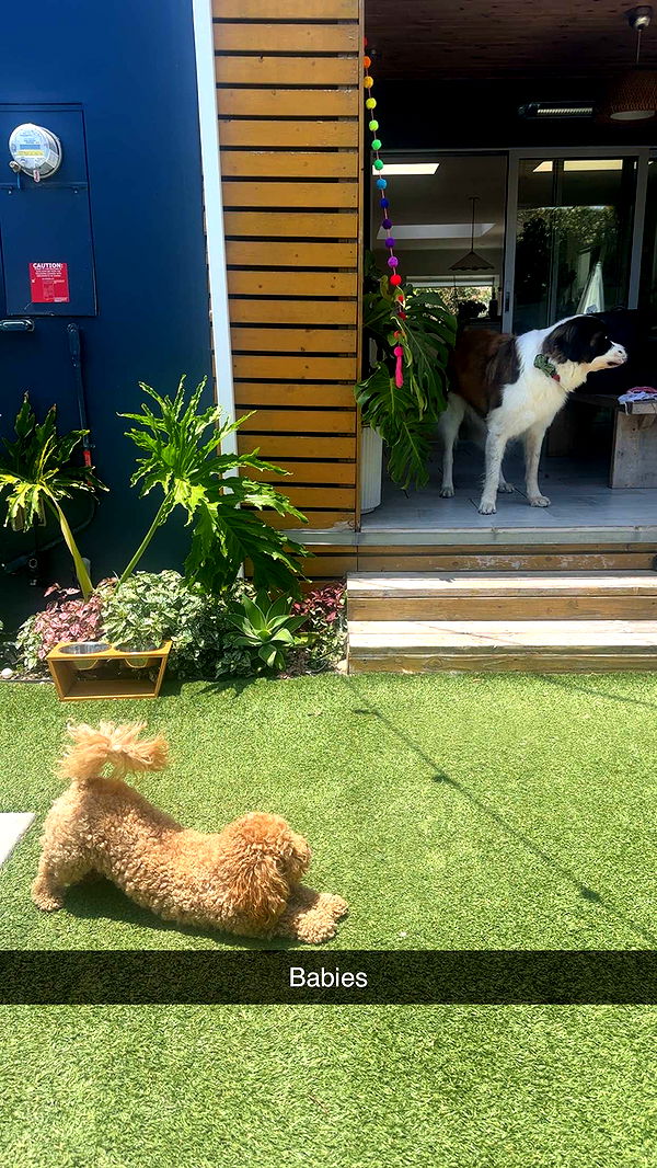 kaylamanouss17 image ~ Altpins