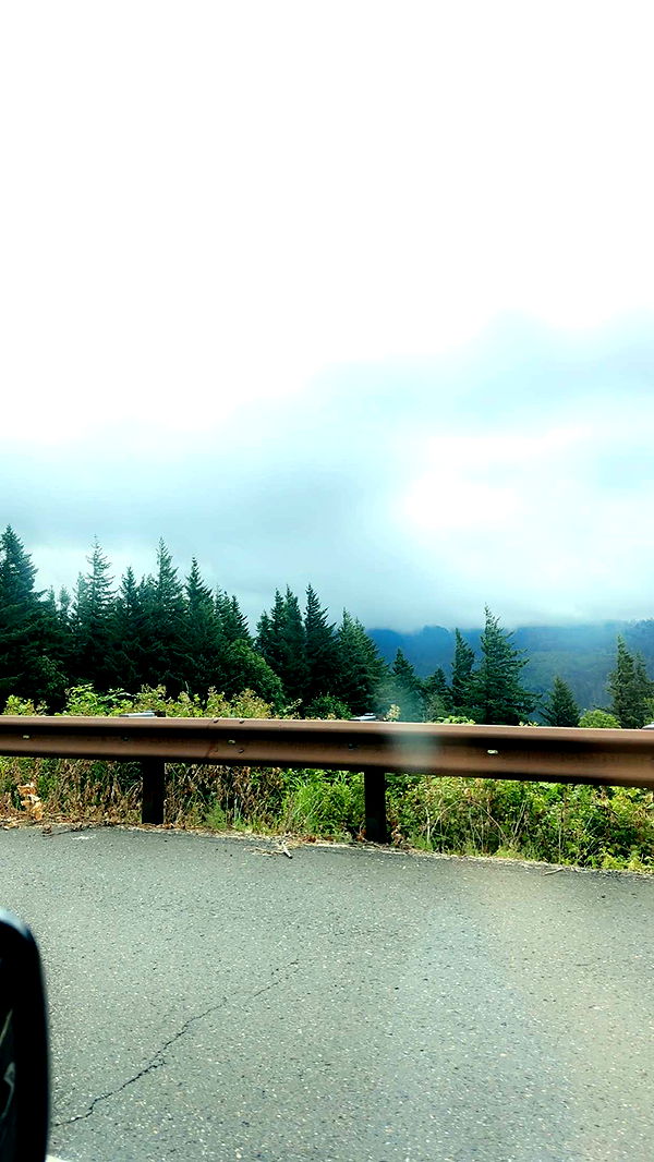 kaylamanouss17 image ~ Altpins