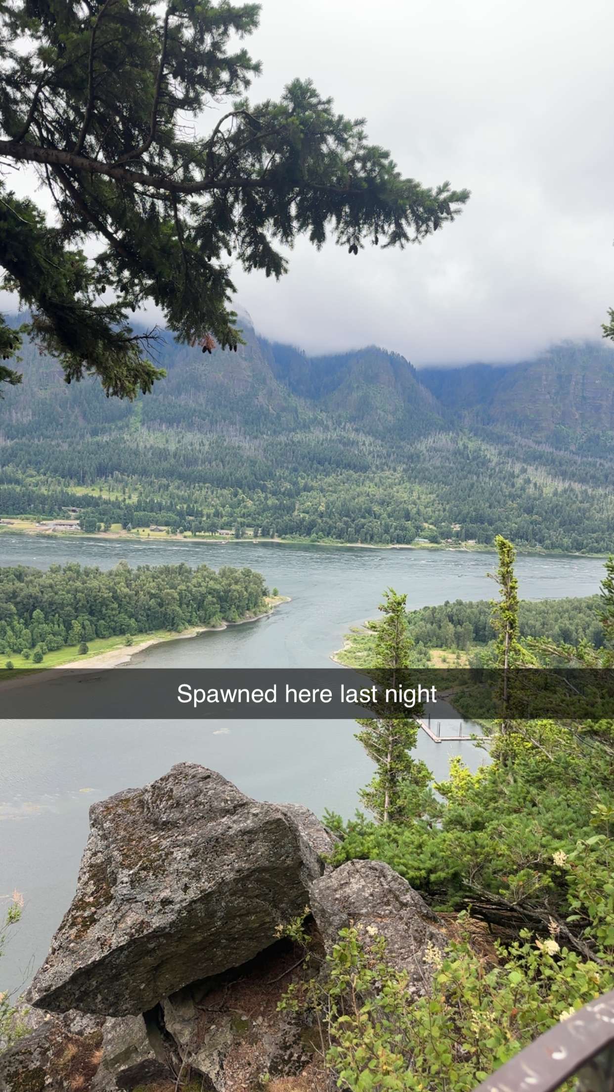 kaylamanouss17 snapchat image archive image