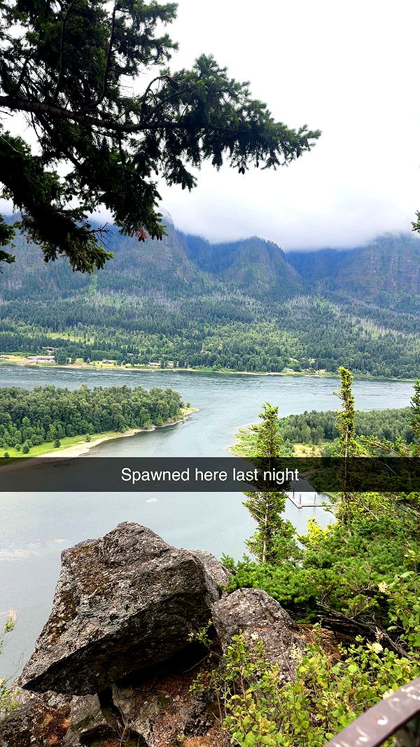 kaylamanouss17 image ~ Altpins