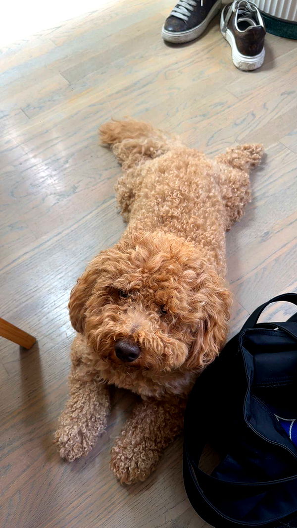 kaylamanouss17 image ~ Altpins