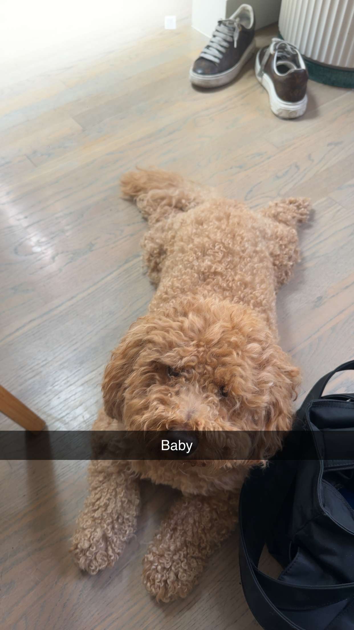 kaylamanouss17 snapchat image archive image