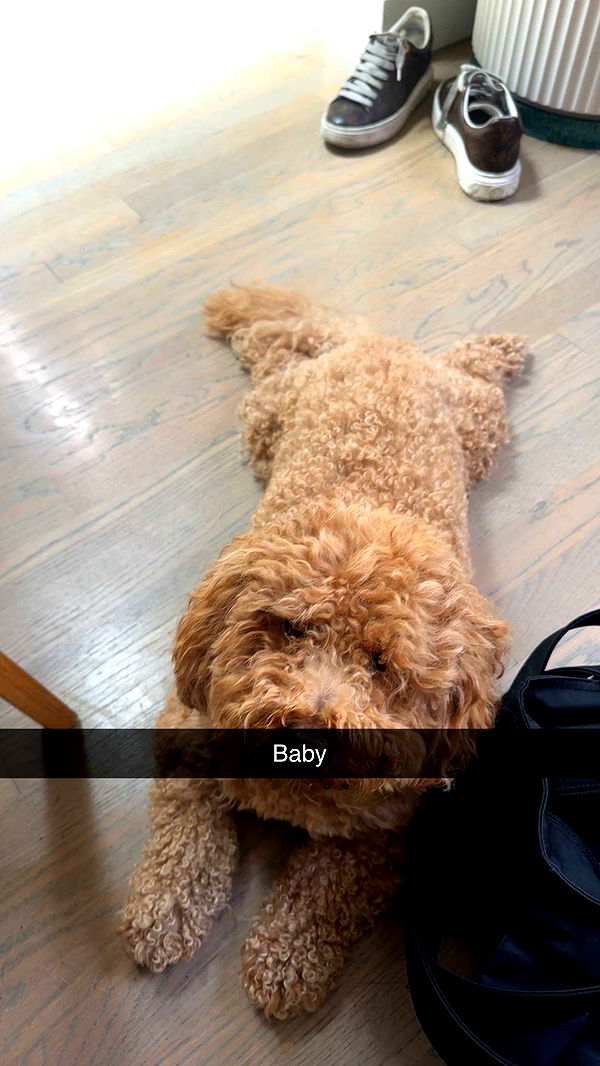 kaylamanouss17 image ~ Altpins