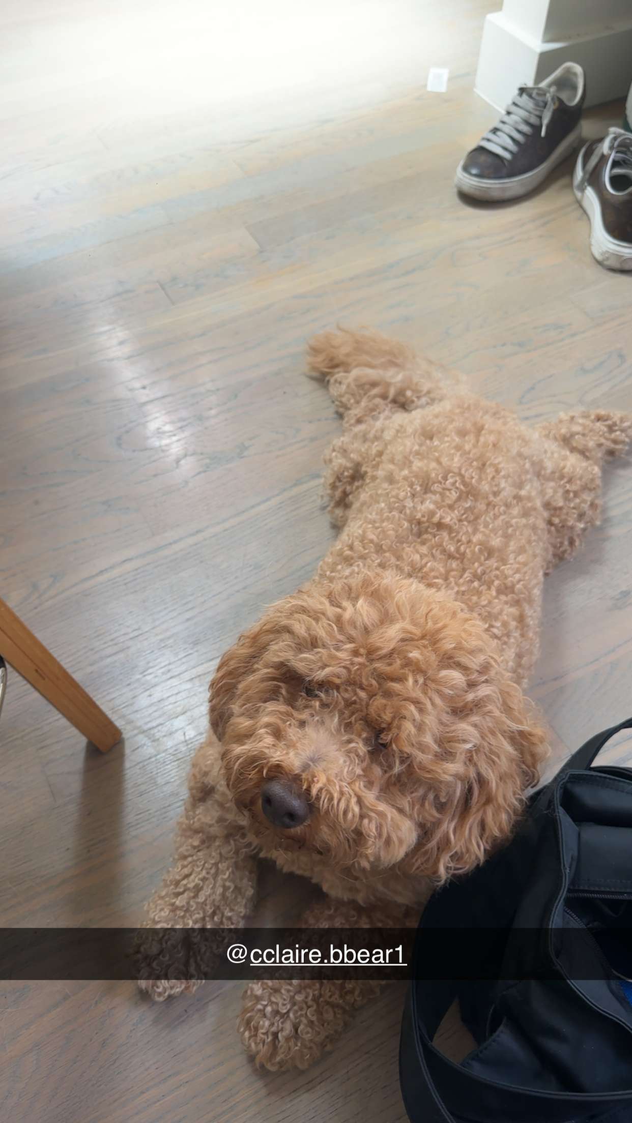 kaylamanouss17 snapchat image archive image