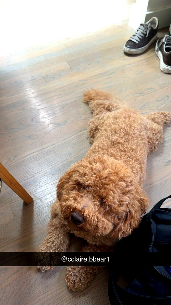 kaylamanouss17 image ~ Altpins