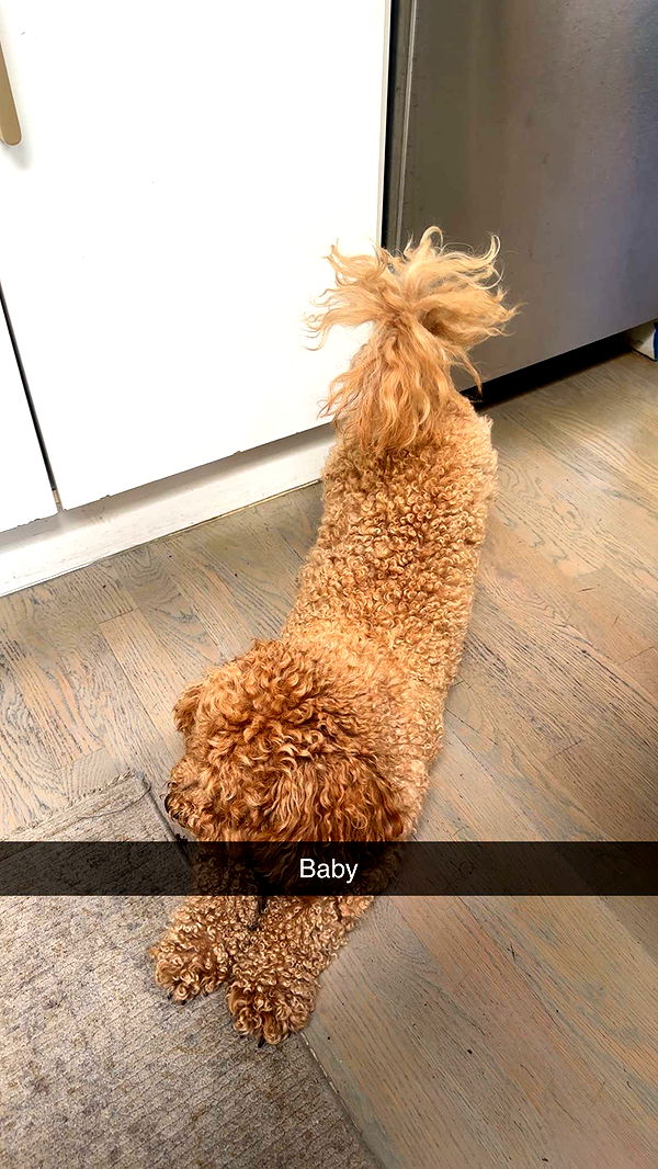 kaylamanouss17 image ~ Altpins