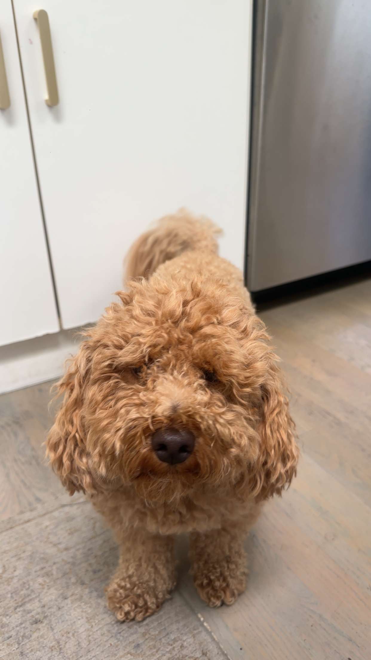 kaylamanouss17 snapchat image archive image