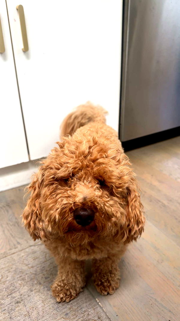 kaylamanouss17 image ~ Altpins