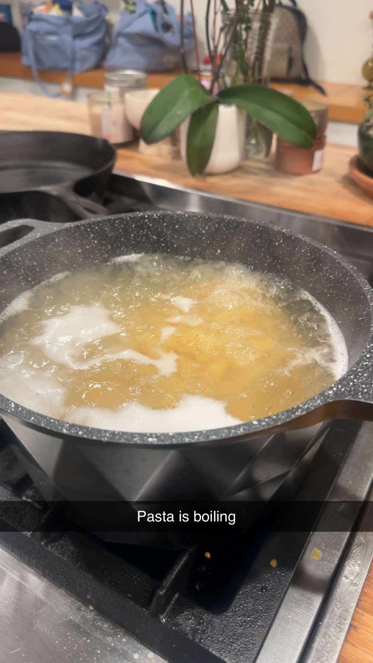 kaylamanouss17 snapchat image archive image