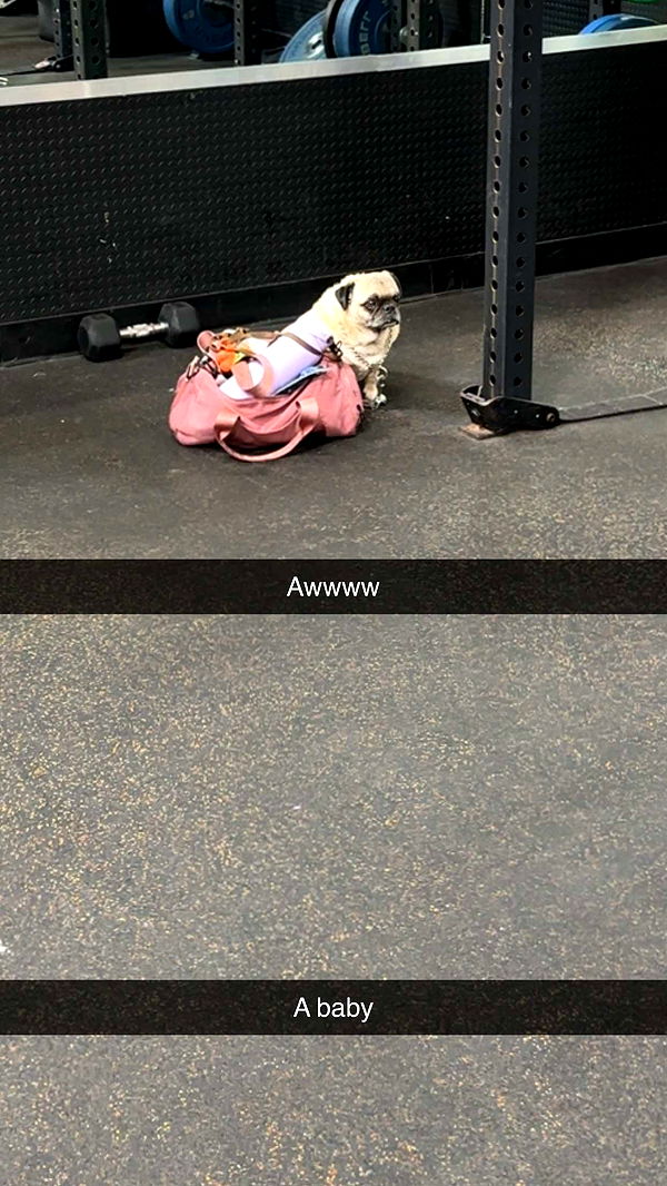 kaylamanouss17 image ~ Altpins