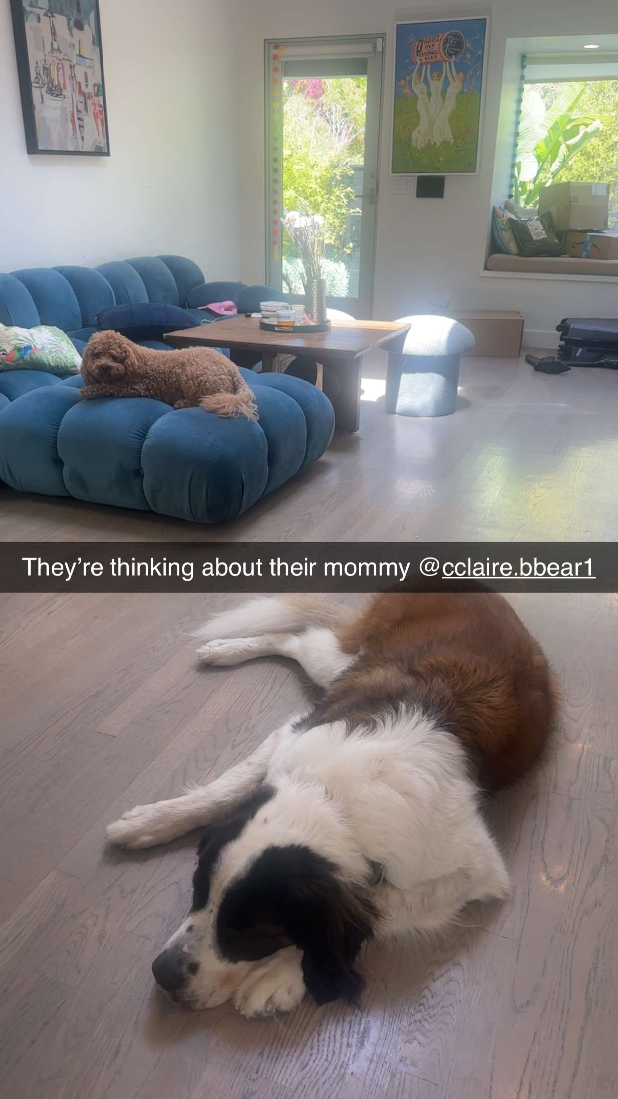 kaylamanouss17 snapchat image archive image