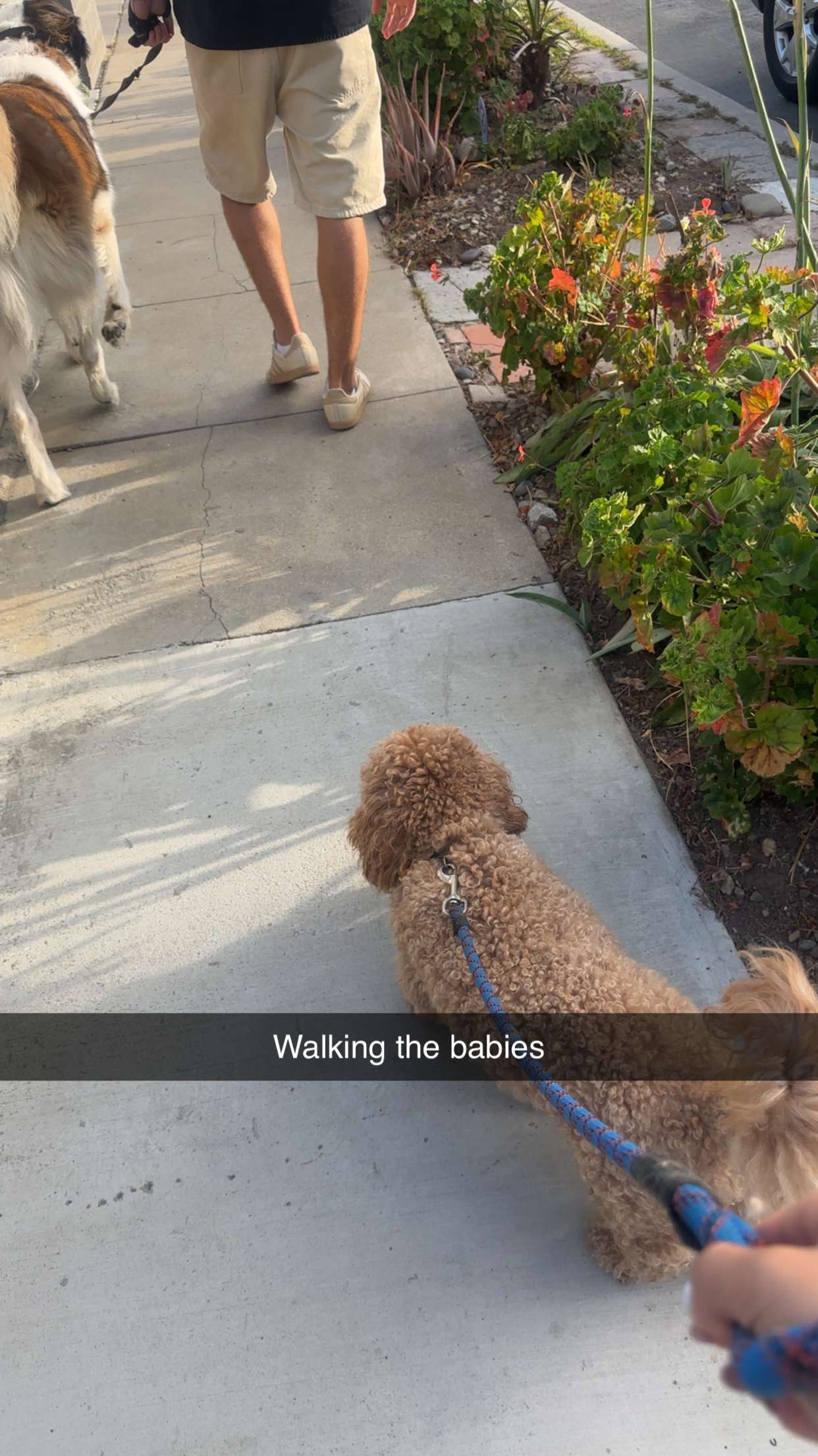 kaylamanouss17 snapchat image archive image