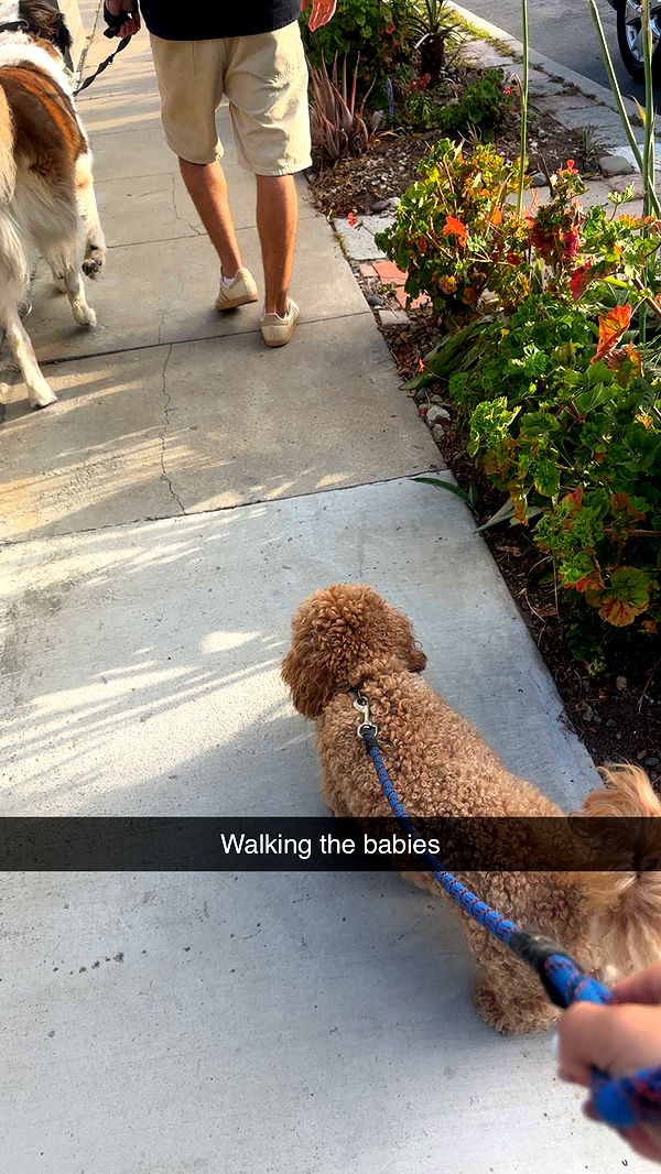 kaylamanouss17 image ~ Altpins