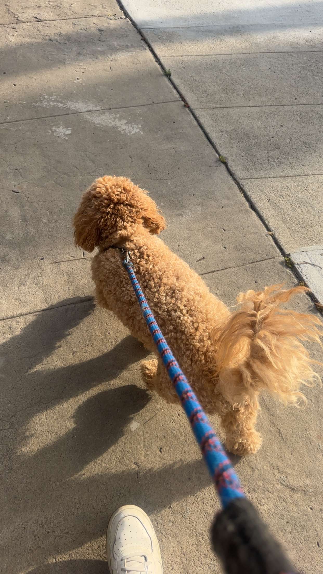 kaylamanouss17 snapchat image archive image