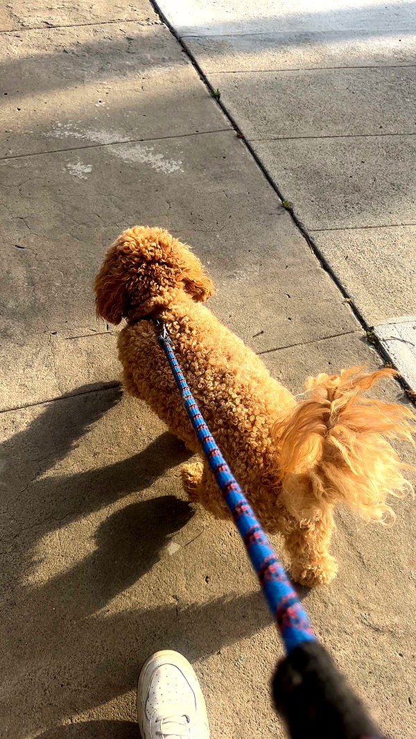 kaylamanouss17 image ~ Altpins