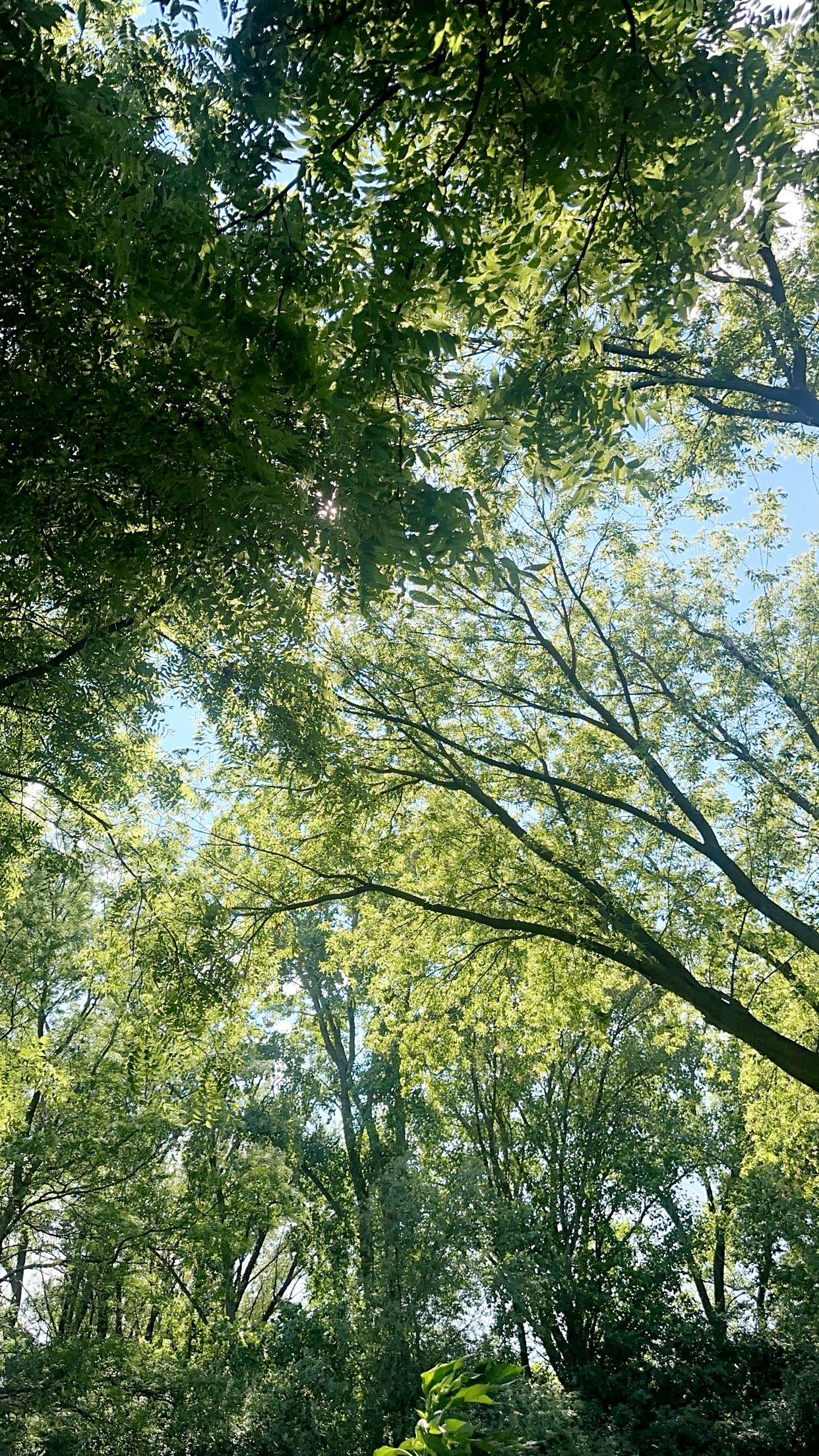 kaylamanouss17 snapchat image archive image