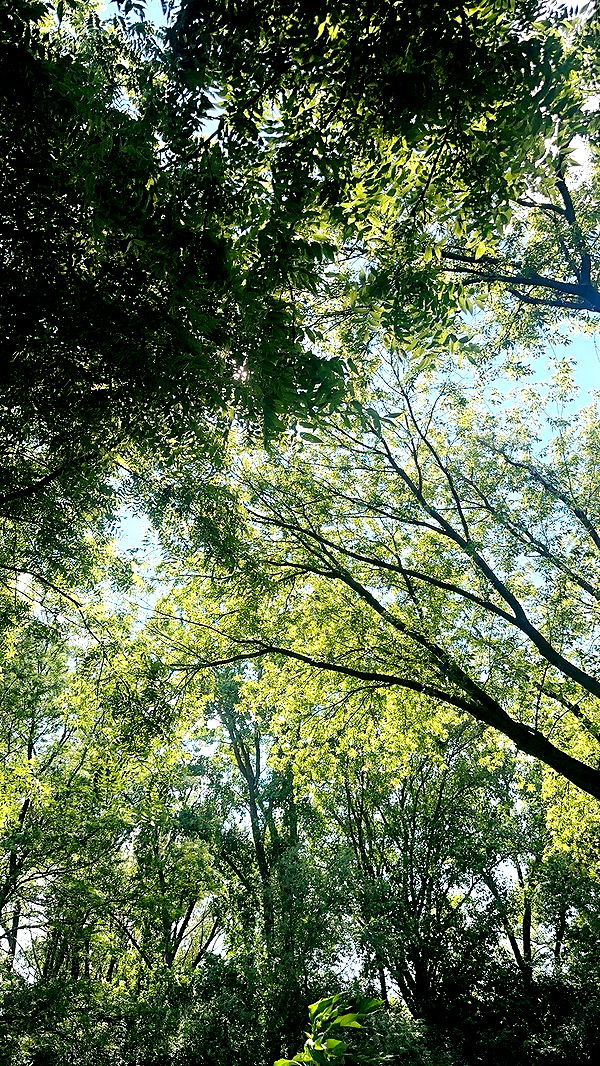 kaylamanouss17 image ~ Altpins