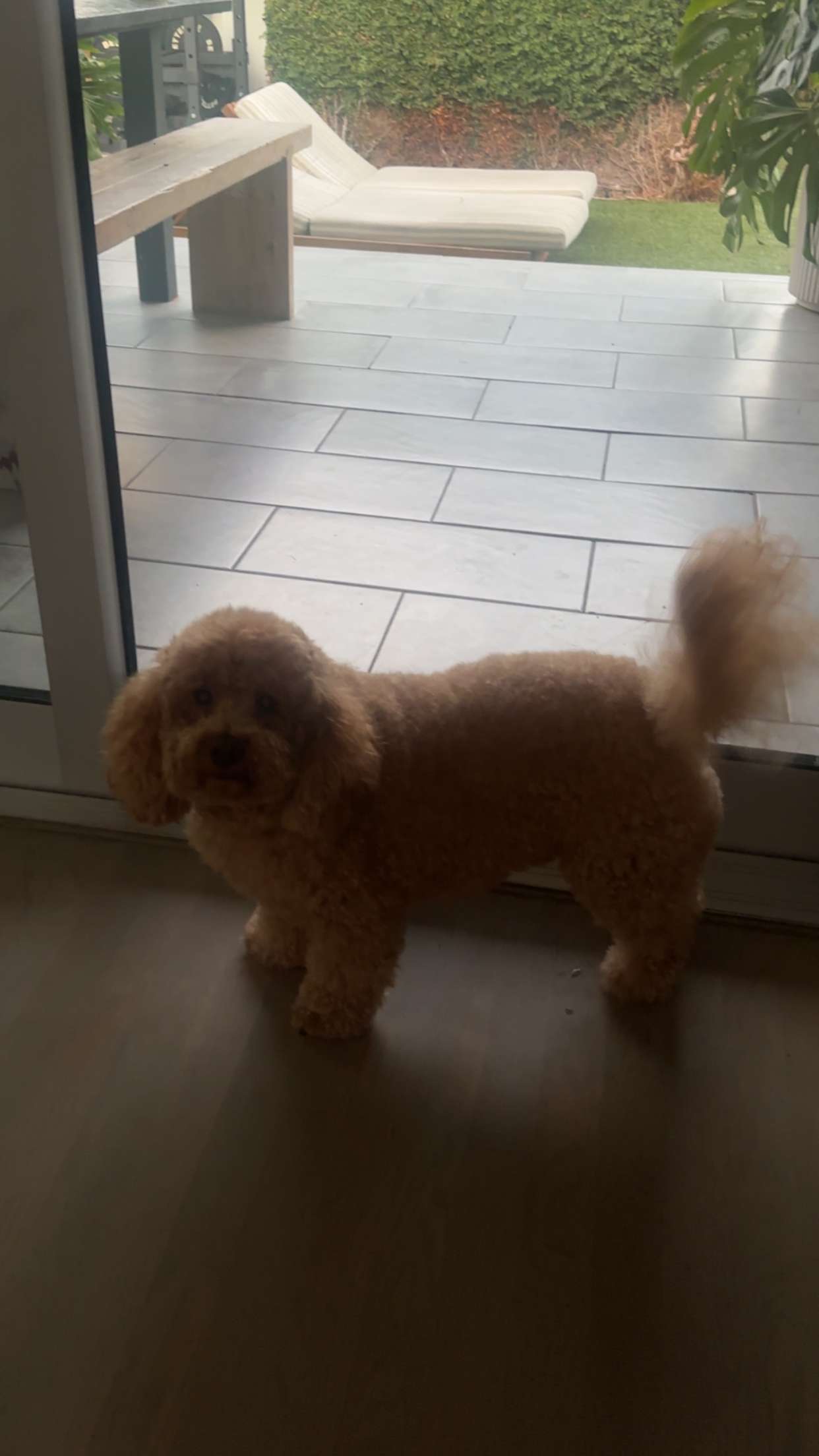 kaylamanouss17 snapchat image archive image