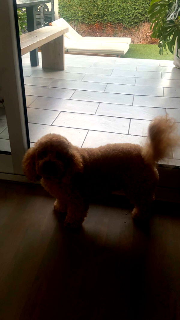 kaylamanouss17 image ~ Altpins