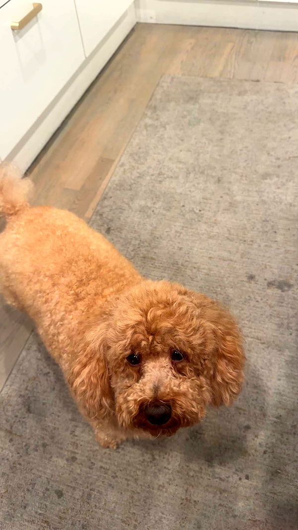 kaylamanouss17 image ~ Altpins