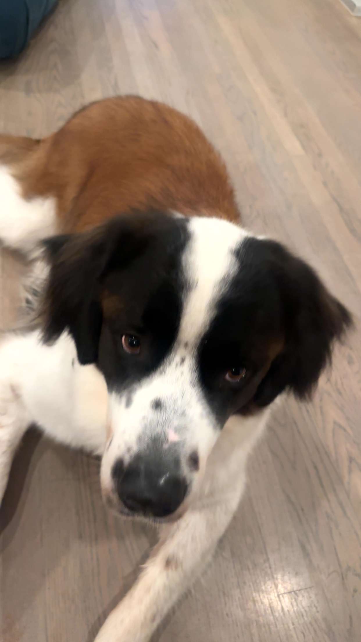 kaylamanouss17 snapchat image archive image