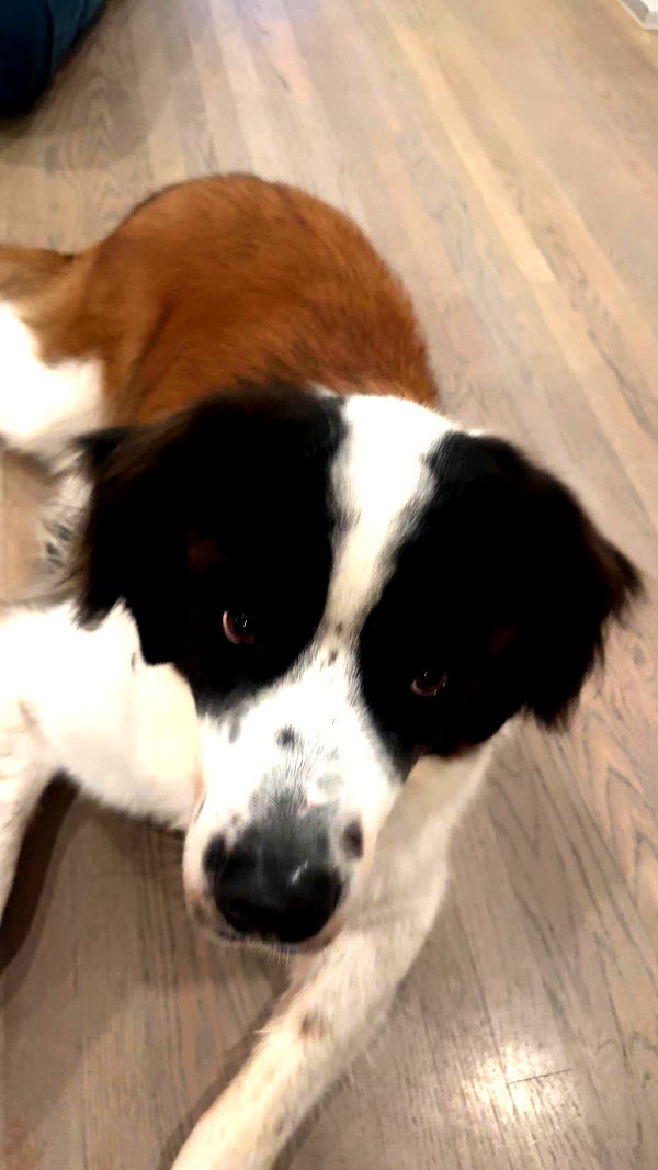 kaylamanouss17 image ~ Altpins