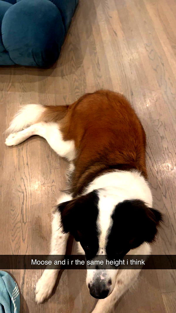 kaylamanouss17 image ~ Altpins