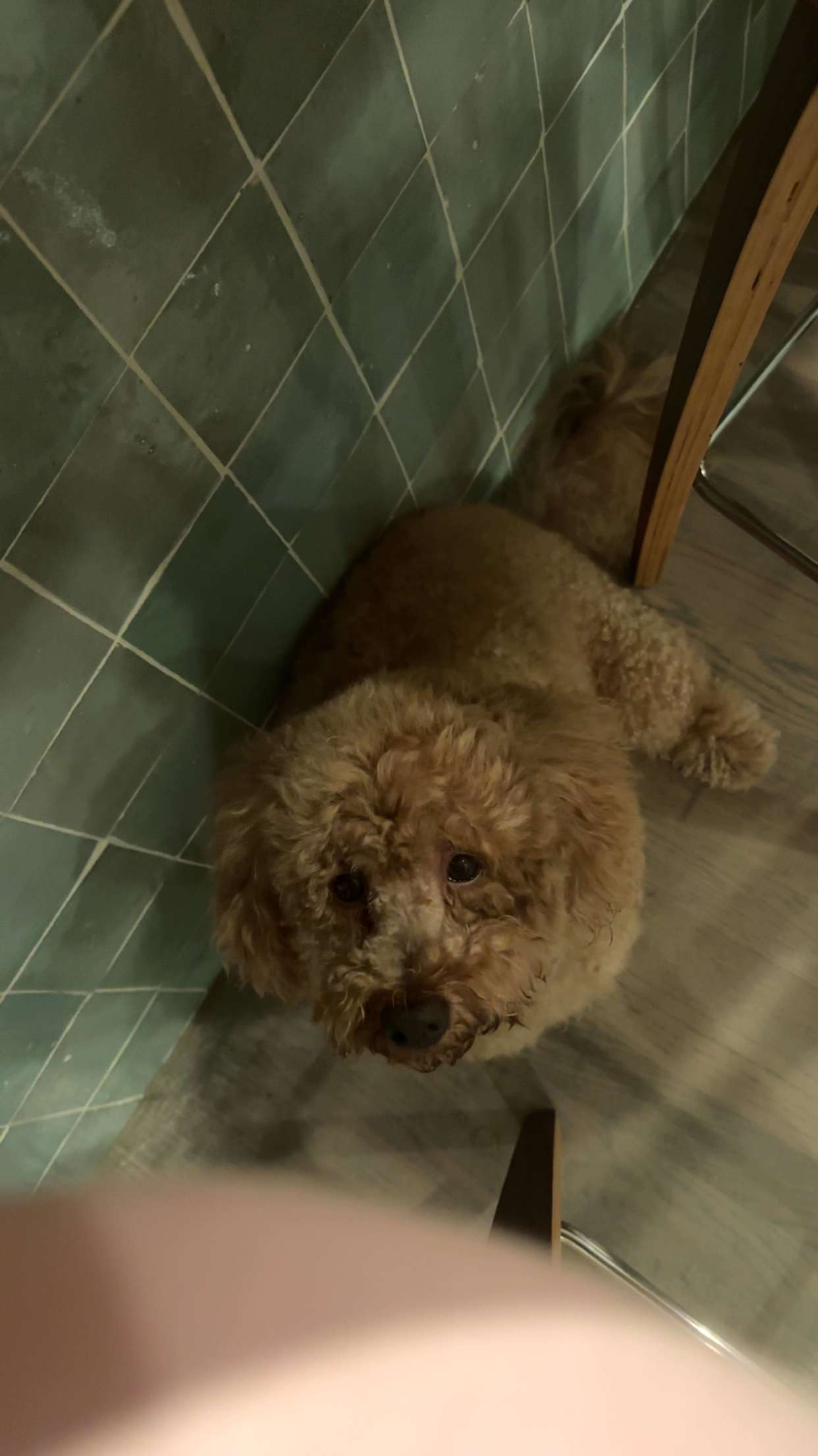 kaylamanouss17 snapchat image archive image