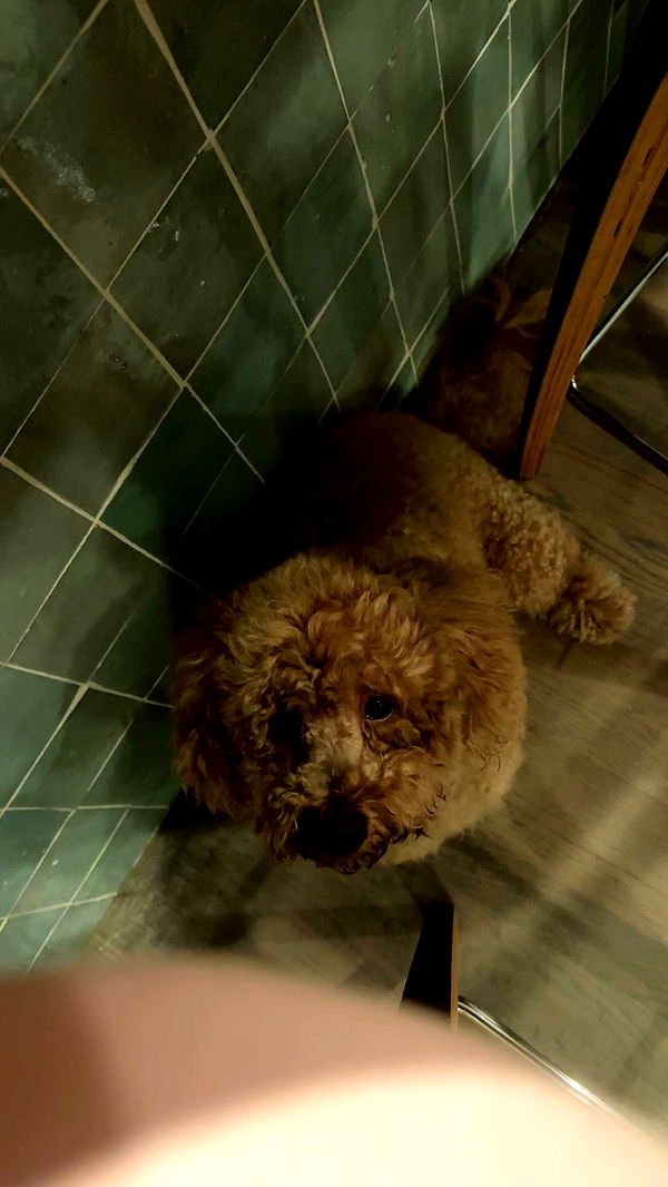 kaylamanouss17 image ~ Altpins