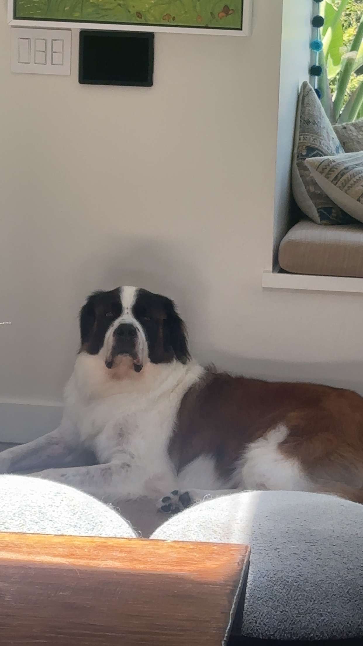 kaylamanouss17 snapchat image archive image