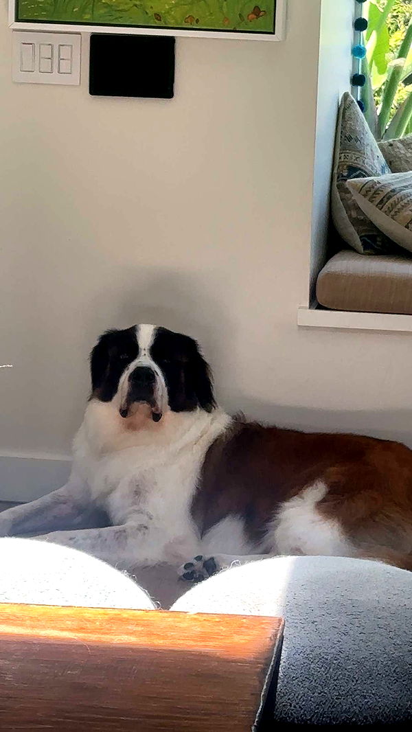 kaylamanouss17 image ~ Altpins